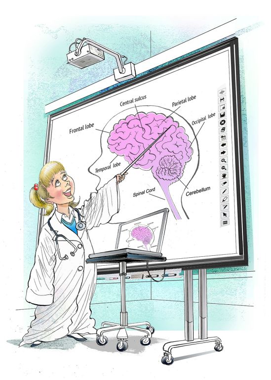 Young girl is pointing at a diagram of a brain and she is dressed in a white coat like a scientist. Or neuroscientist. 